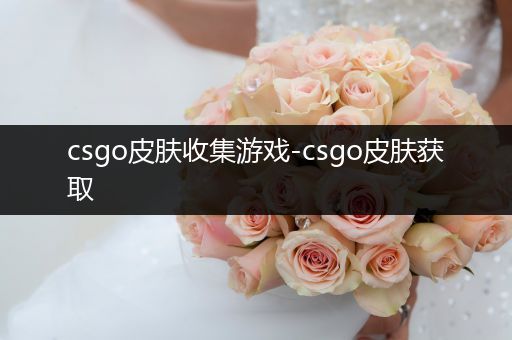 csgo皮肤收集游戏-csgo皮肤获取