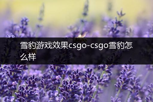 雪豹游戏效果csgo-csgo雪豹怎么样