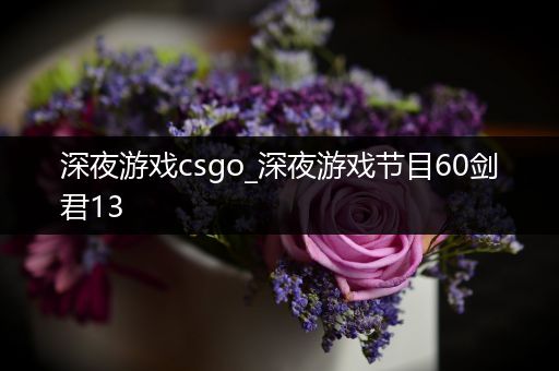 深夜游戏csgo_深夜游戏节目60剑君13