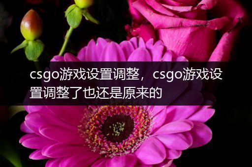 csgo游戏设置调整，csgo游戏设置调整了也还是原来的