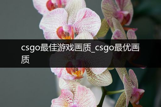 csgo最佳游戏画质_csgo最优画质