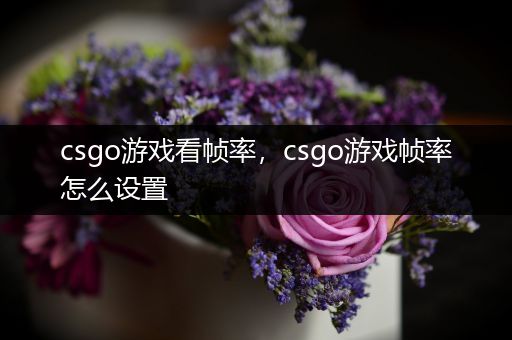 csgo游戏看帧率，csgo游戏帧率怎么设置
