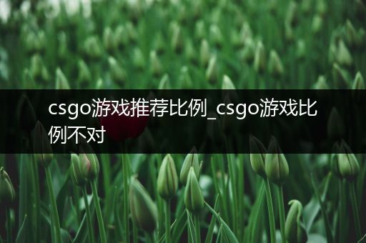 csgo游戏推荐比例_csgo游戏比例不对