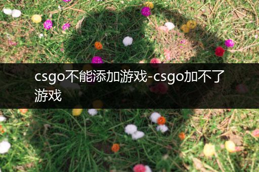 csgo不能添加游戏-csgo加不了游戏