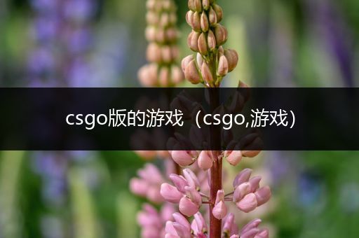 csgo版的游戏（csgo,游戏）