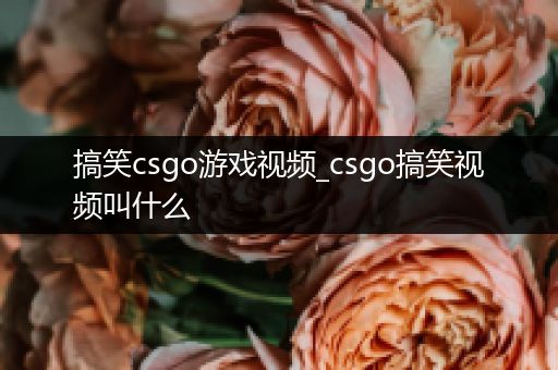 搞笑csgo游戏视频_csgo搞笑视频叫什么