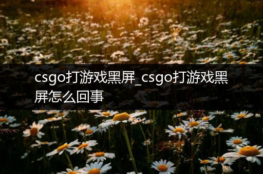 csgo打游戏黑屏_csgo打游戏黑屏怎么回事