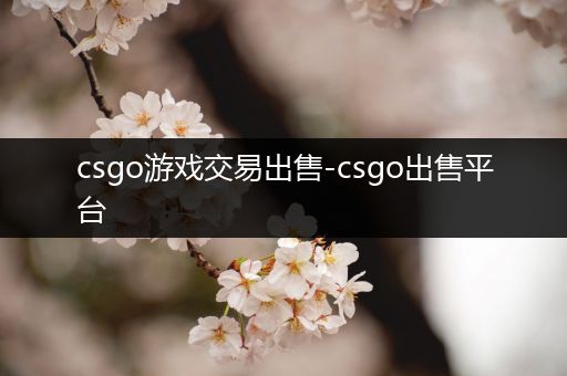 csgo游戏交易出售-csgo出售平台