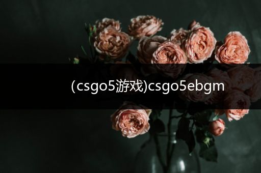 （csgo5游戏)csgo5ebgm