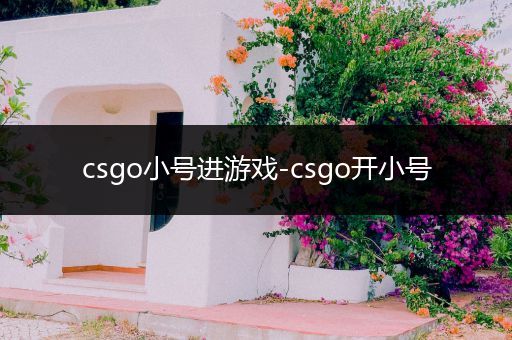 csgo小号进游戏-csgo开小号