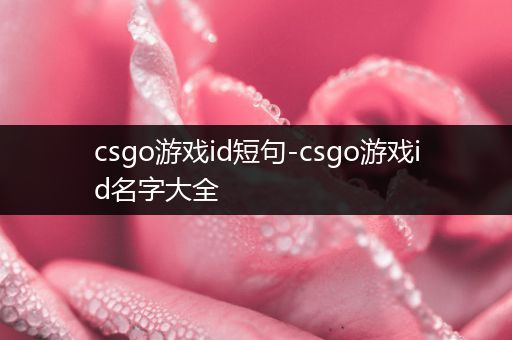 csgo游戏id短句-csgo游戏id名字大全