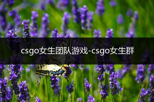 csgo女生团队游戏-csgo女生群