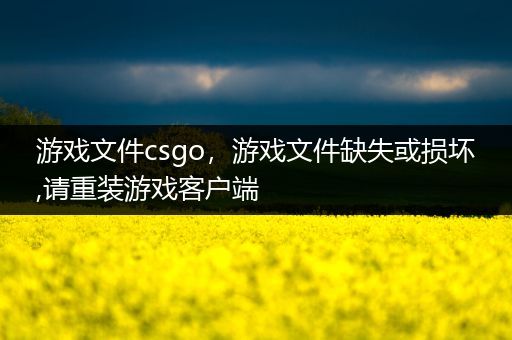 游戏文件csgo，游戏文件缺失或损坏,请重装游戏客户端