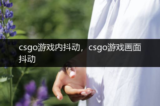 csgo游戏内抖动，csgo游戏画面抖动