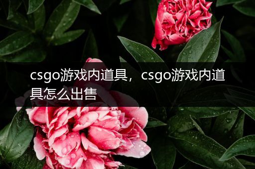 csgo游戏内道具，csgo游戏内道具怎么出售