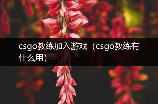 csgo教练加入游戏（csgo教练有什么用）