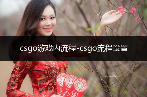 csgo游戏内流程-csgo流程设置