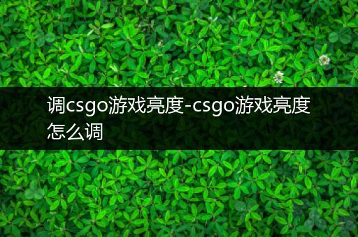 调csgo游戏亮度-csgo游戏亮度怎么调