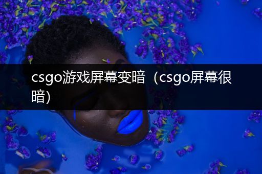 csgo游戏屏幕变暗（csgo屏幕很暗）