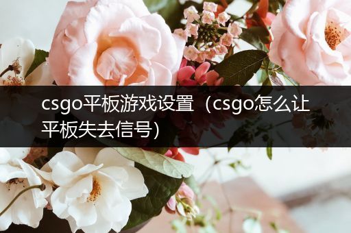 csgo平板游戏设置（csgo怎么让平板失去信号）