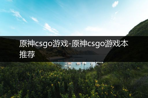 原神csgo游戏-原神csgo游戏本推荐