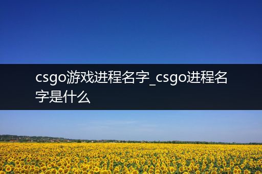 csgo游戏进程名字_csgo进程名字是什么