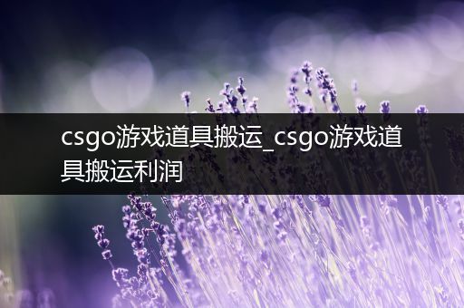 csgo游戏道具搬运_csgo游戏道具搬运利润