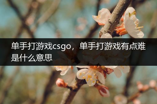 单手打游戏csgo，单手打游戏有点难是什么意思