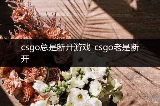 csgo总是断开游戏_csgo老是断开