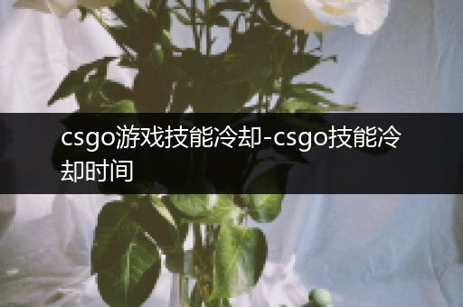 csgo游戏技能冷却-csgo技能冷却时间