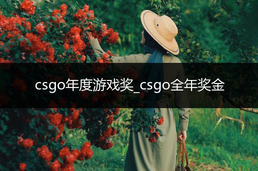 csgo年度游戏奖_csgo全年奖金