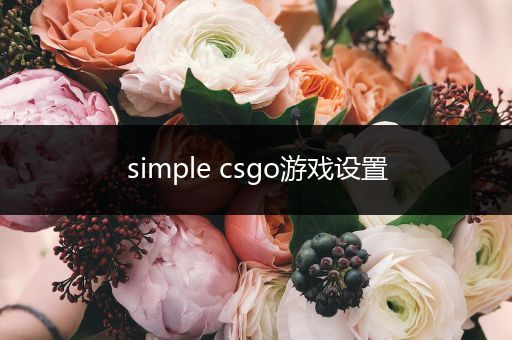 simple csgo游戏设置