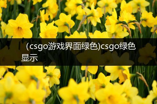 （csgo游戏界面绿色)csgo绿色显示