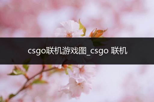 csgo联机游戏图_csgo 联机