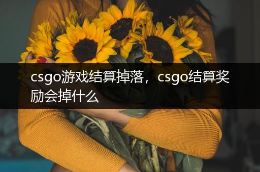 csgo游戏结算掉落，csgo结算奖励会掉什么