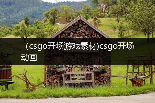 （csgo开场游戏素材)csgo开场动画