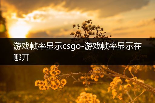 游戏帧率显示csgo-游戏帧率显示在哪开