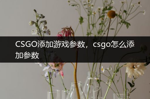 CSGO添加游戏参数，csgo怎么添加参数