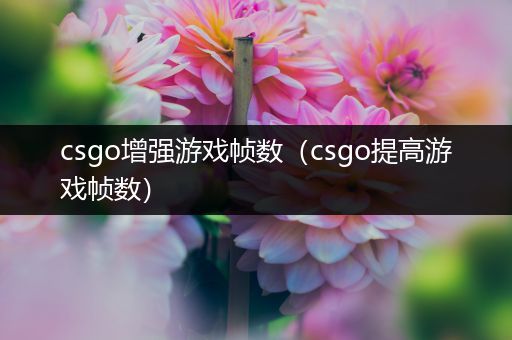 csgo增强游戏帧数（csgo提高游戏帧数）