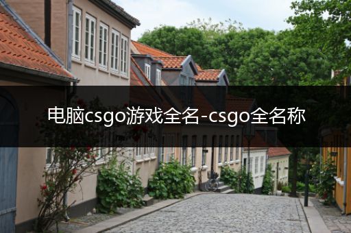 电脑csgo游戏全名-csgo全名称