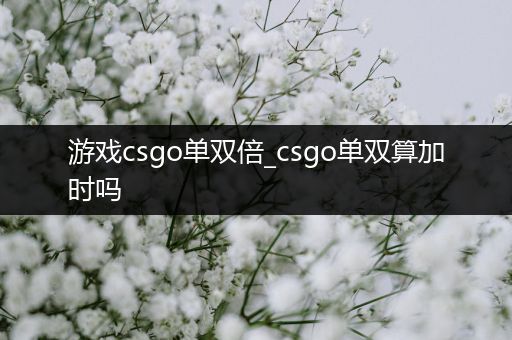 游戏csgo单双倍_csgo单双算加时吗