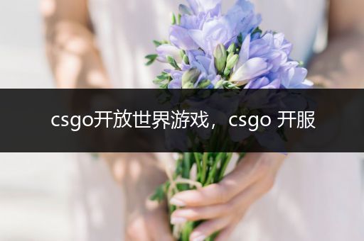 csgo开放世界游戏，csgo 开服