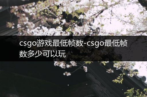 csgo游戏最低帧数-csgo最低帧数多少可以玩