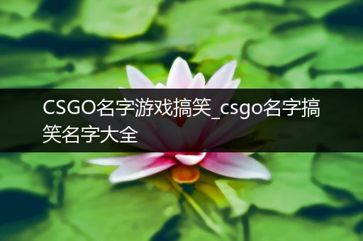 CSGO名字游戏搞笑_csgo名字搞笑名字大全