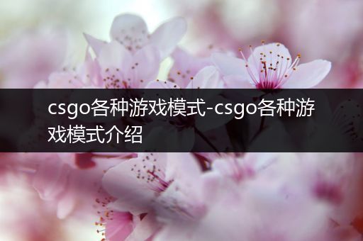 csgo各种游戏模式-csgo各种游戏模式介绍