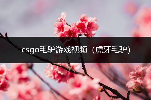 csgo毛驴游戏视频（虎牙毛驴）