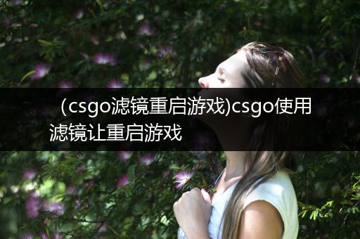 （csgo滤镜重启游戏)csgo使用滤镜让重启游戏