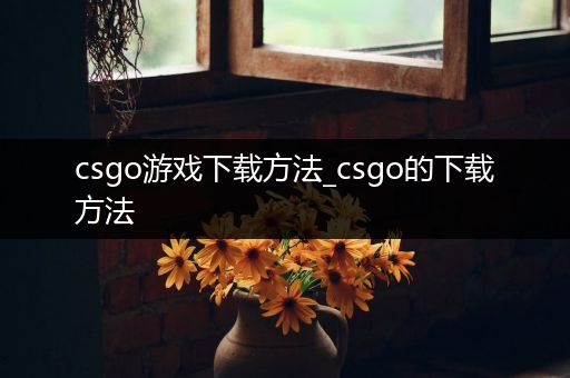 csgo游戏下载方法_csgo的下载方法