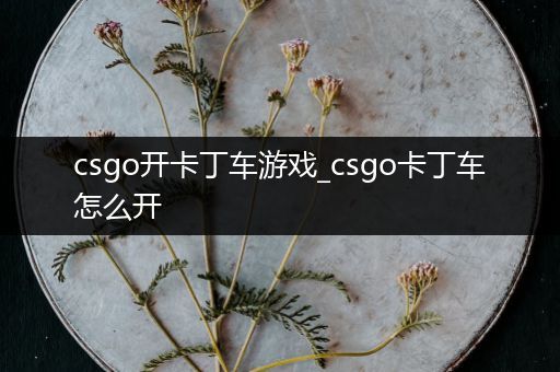 csgo开卡丁车游戏_csgo卡丁车怎么开