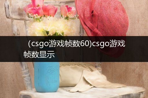 （csgo游戏帧数60)csgo游戏帧数显示